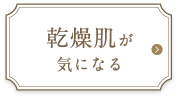 乾燥肌が気になる